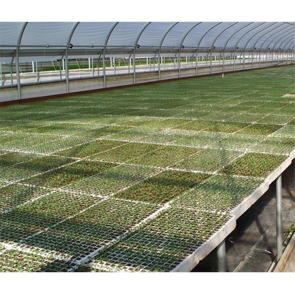 Grillgear RSI Hydroponic Seed Trays - 242 plugs; 2 Pack GR29444 - main